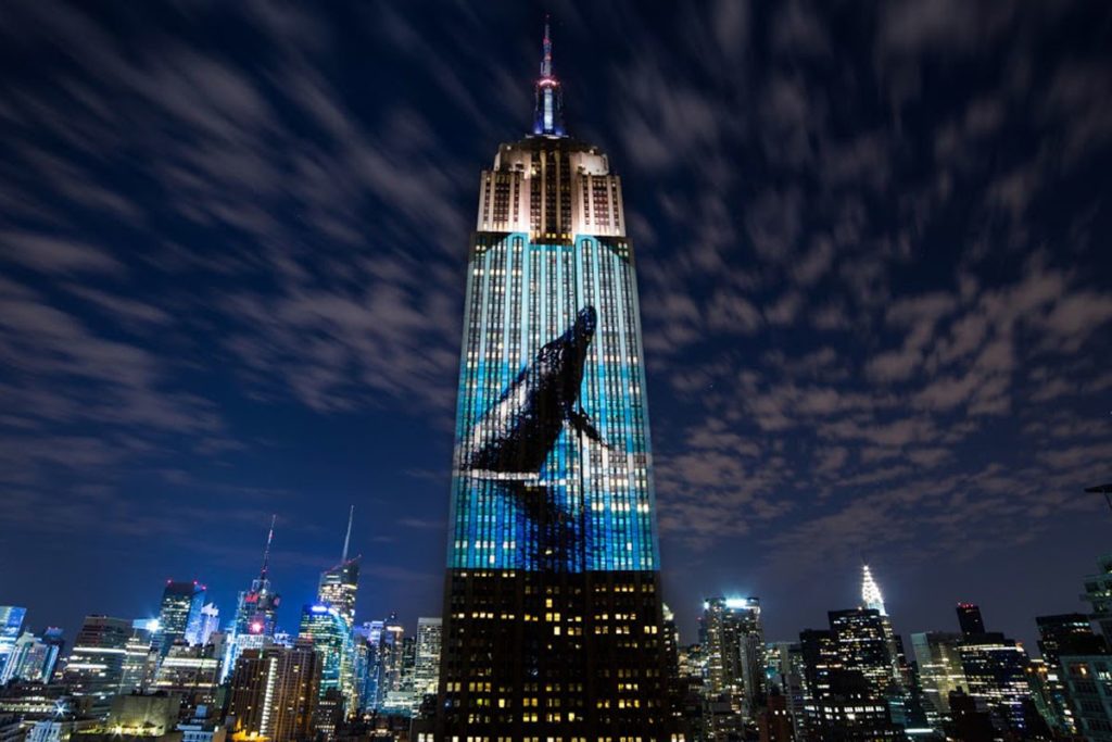 Racing Extinction