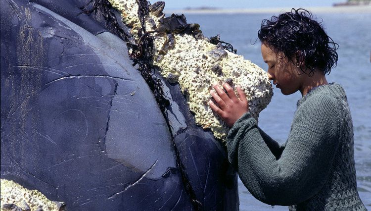 A young girl in a grey sweater rests her nose against the barnacled snout of a whale in this still from the feature film Whale Rider. In the background, there is a blue ocean and a distant beach.