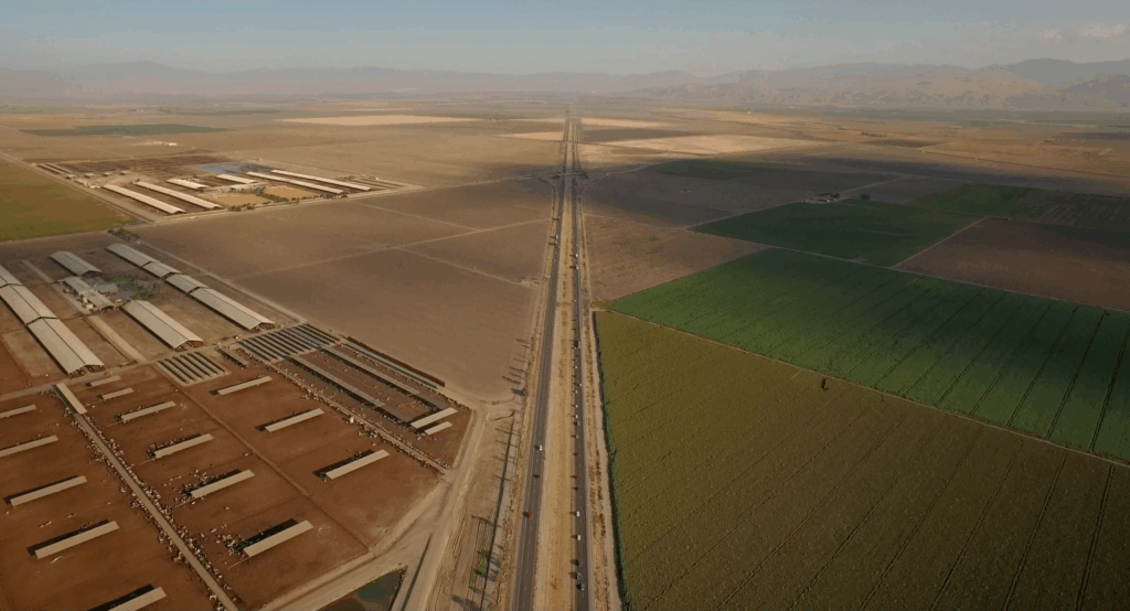 CWC Docs: Pistachio Wars